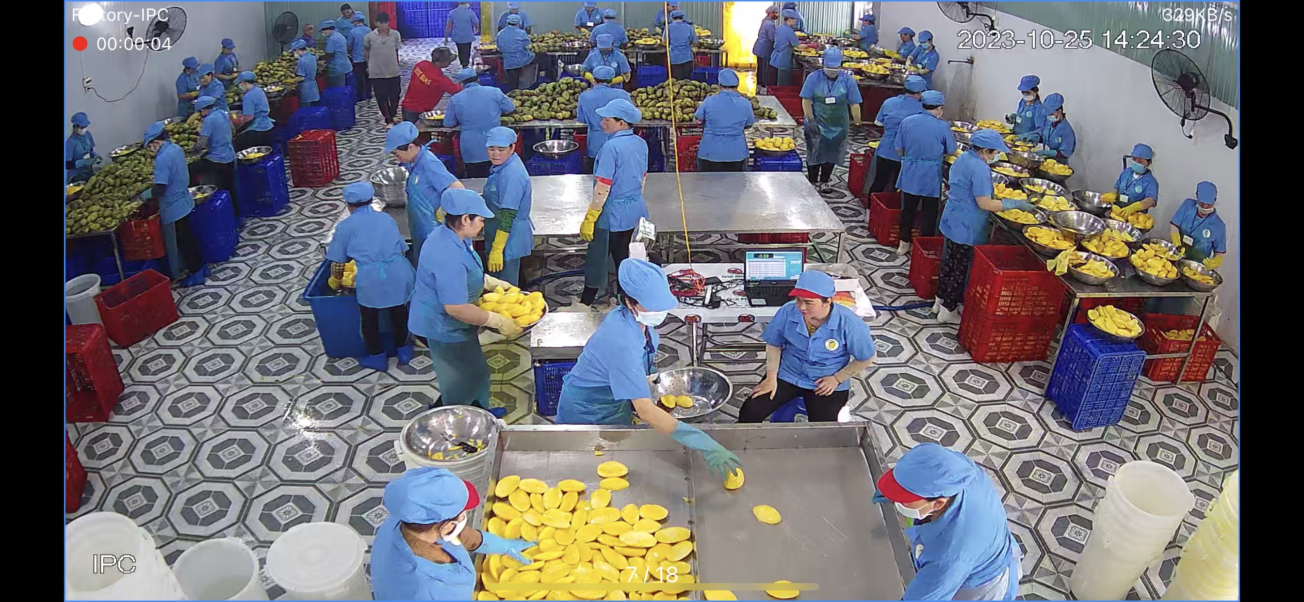 Factory processing hall