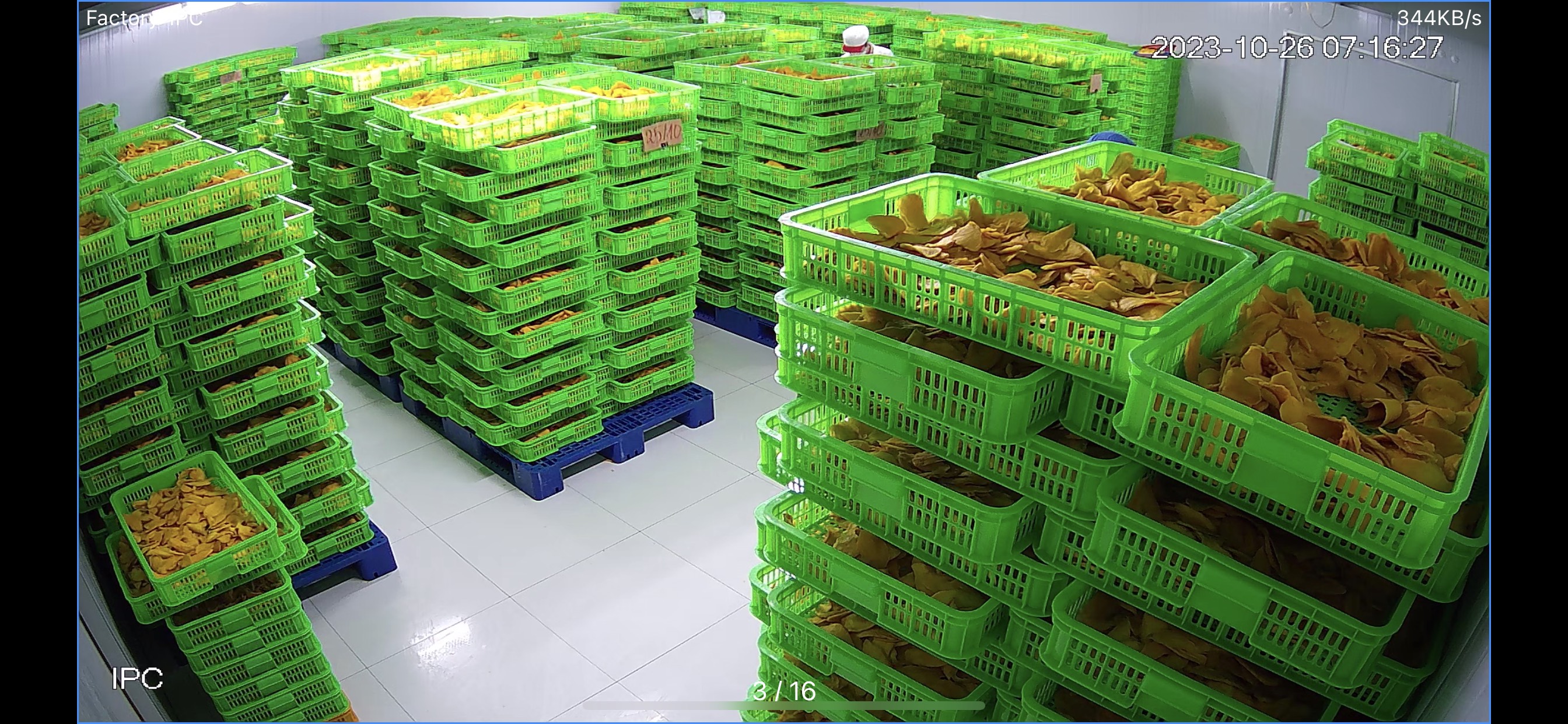 Processed fruit storage