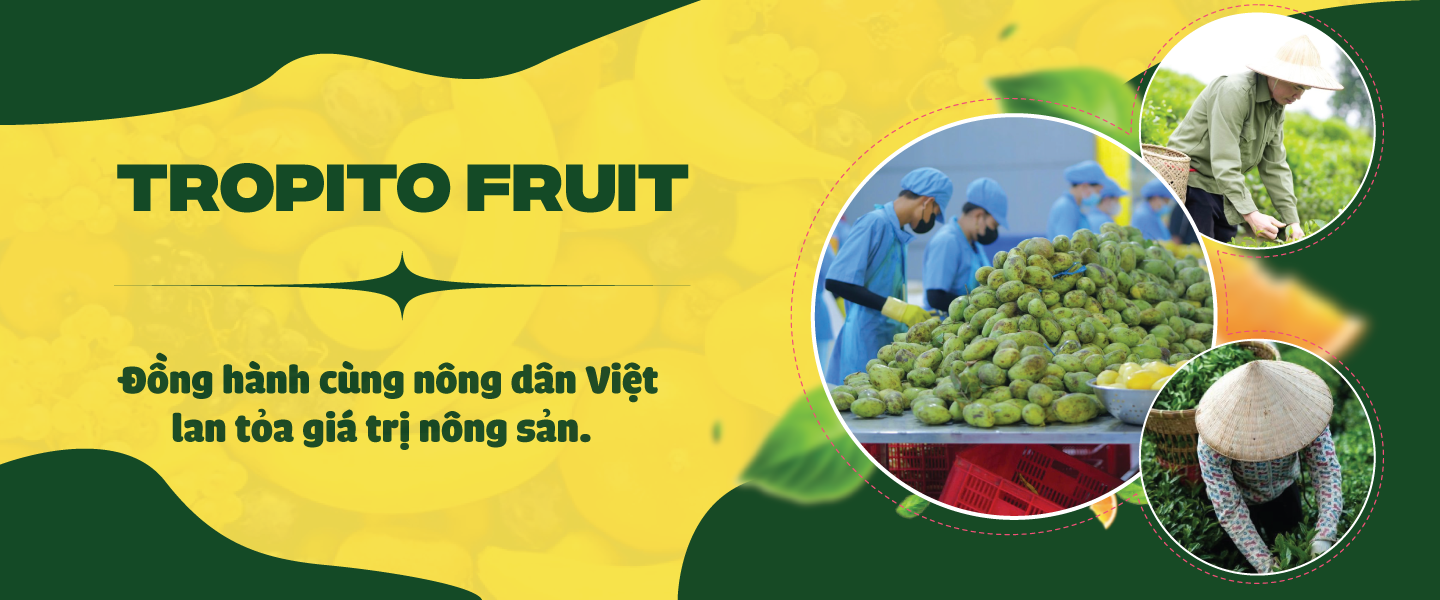 TROPITO FRUITS